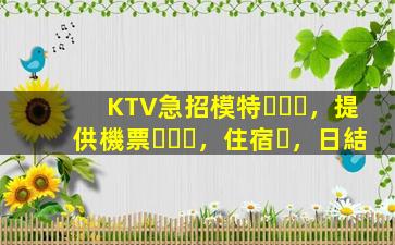 KTV急招模特，提供機票，住宿，日結
